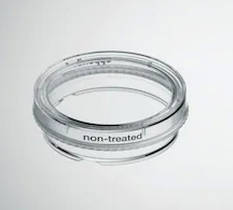 德國艾本德(Eppendorf)Cell Culture Dishes, 35 mm, 無菌、無熱原，無 RNase和DNase，無人類和細菌DNA。無細胞毒素, 未處理, 3.0mL, 300個