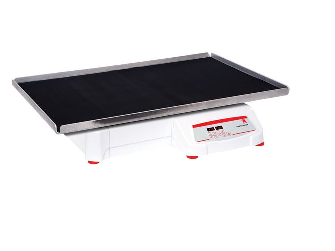 美國奧豪斯，OHAUS，脫色搖床，回旋振蕩器，圓周振蕩器，大負(fù)載圓周式搖床，SHHD6825DG