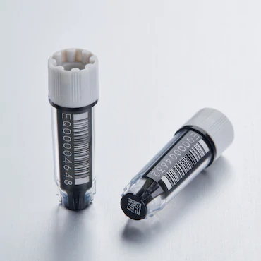艾本德Eppendorf CryoStorage Vial，無菌, 無菌, 0.5 mL, 不含 DNase、RNase、人類 DNA 和內(nèi)毒素；外螺紋，預(yù)先加蓋灰色管蓋，帶 2D SafeCode 